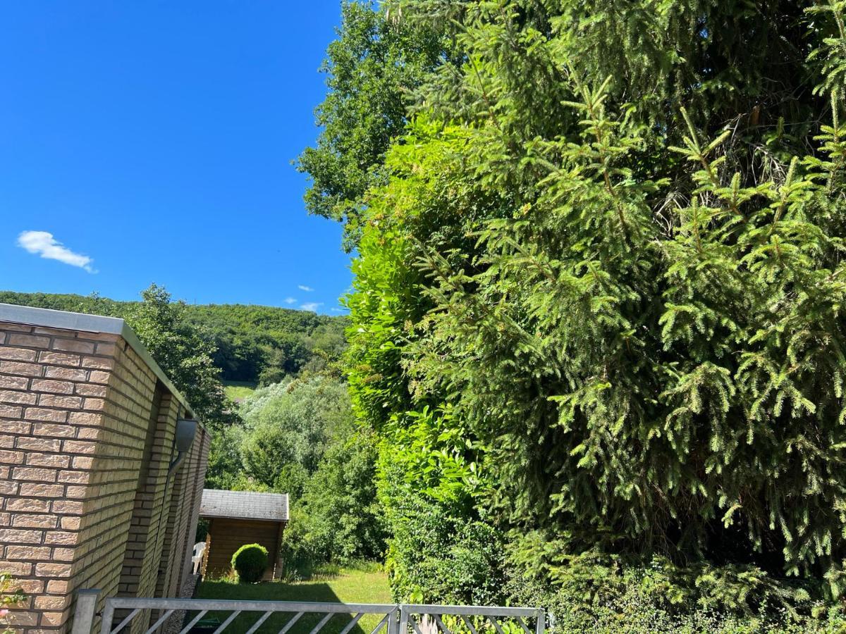 Gaestehaus Zum Buchenweg Guest house Hasenfeld
